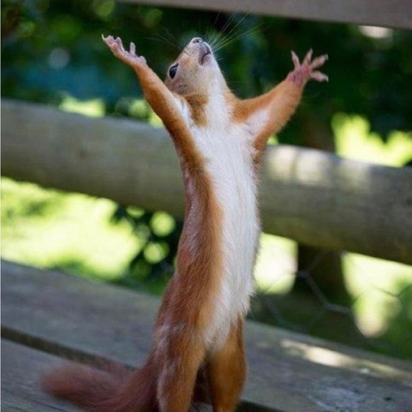 Meet your Posher, Beth - Picture 3 of 9